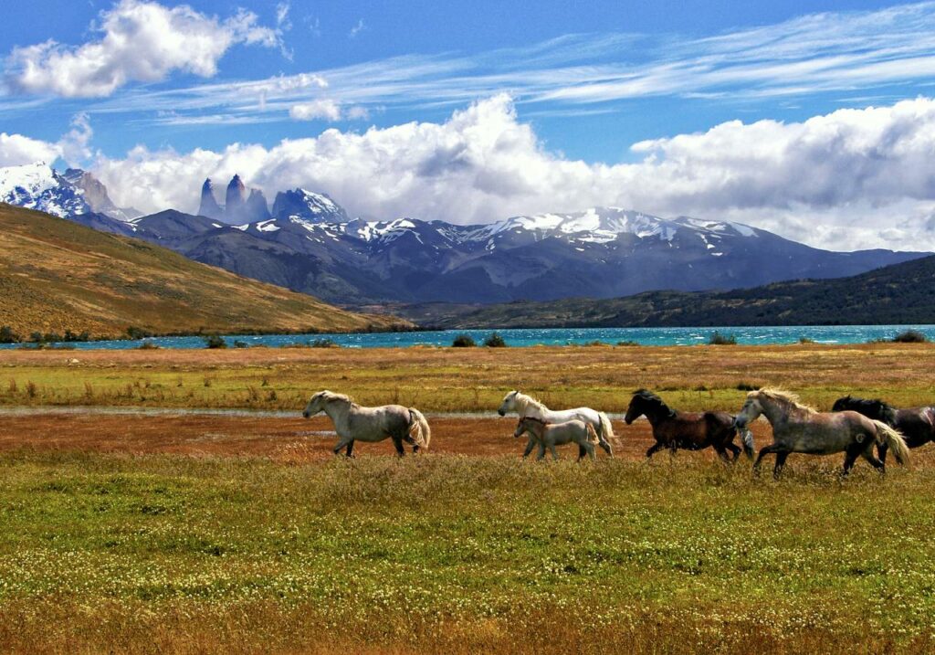 Patagonie en été